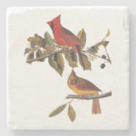 Cardinal Grosbeak Bird Pair in Wild Almond Tree Stone Coaster