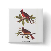 Cardinal Grosbeak Button