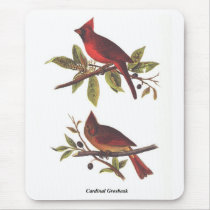Cardinal Grosbeak Mousepad