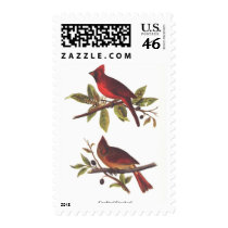 Cardinal Grosbeak Postage Stamp