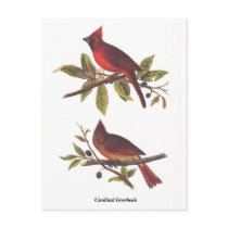 Cardinal Grosbeak Postcard