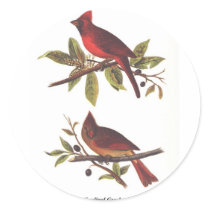 Cardinal Grosbeak Sticker