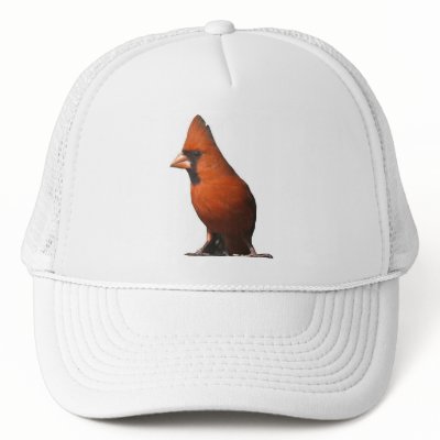 Cardinal Hat by naturegirl7