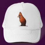 Cardinal Hat