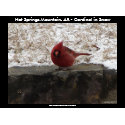 Cardinal Hot Springs Nat. Park Mountain Poster II print