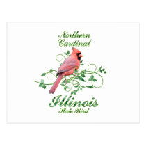 Cardinal Illinois State Bird postcards