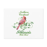 Cardinal Illinois State Bird postcards