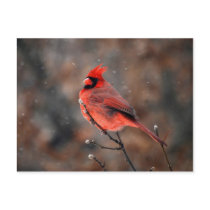 Cardinal in a Snowstorm Postcard