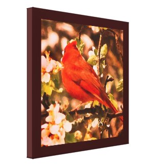 Cardinal in Apple Blossoms Gallery Wrap Canvas