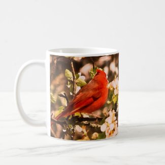 Cardinal in Apple Blossoms Coffee Mugs