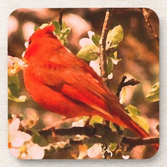 Cardinal in Apple Blossoms Drink Coasters
