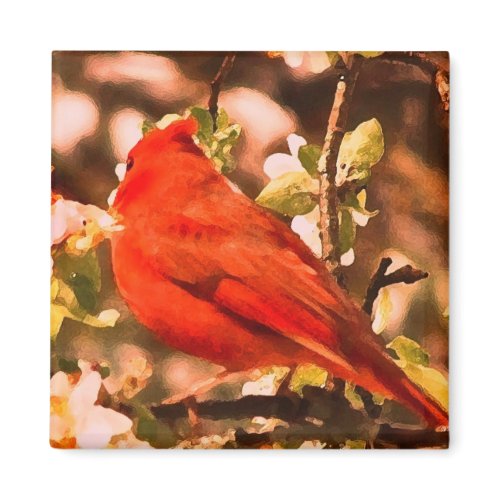 Cardinal in Apple Blossoms zazzle_magnet