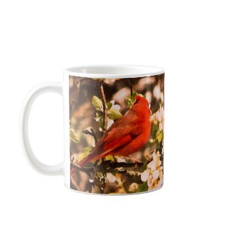 Cardinal in Apple Blossoms