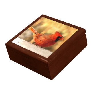 Cardinal in Autumn Gift Box