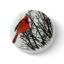 Cardinal in Bush Pin