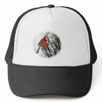 Cardinal in Bush Mesh Hat