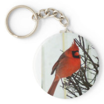 Cardinal in Bush Key Chain