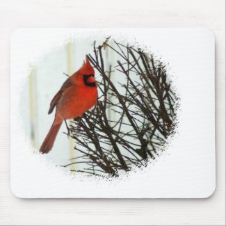 Cardinal in Bush mousepad