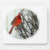 Cardinal in Bush Mouse Pad