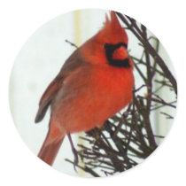 Cardinal in Bush Round Stickers
