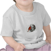 Cardinal in Bush T-shirts