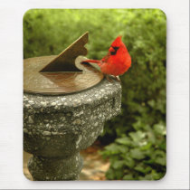 Cardinal in Central Park Mousepad mousepads