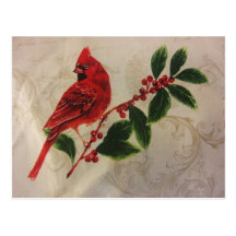 Cardinal in Holly Bush Postcards