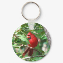 Cardinal in Holly keychains by naturegirl7 Cardinal in Holly keychains