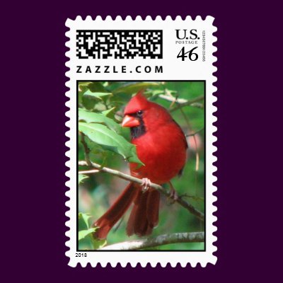 Cardinal in Holly Postage by naturegirl7