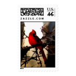 Cardinal In Nebraska Postage