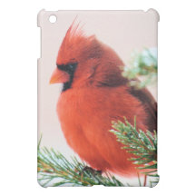 Cardinal in Snow Dusted Fir iPad Mini Covers