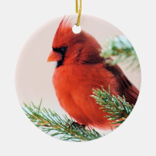 cardinal christmas ornaments cardinal ornament designs cardinal christmas ornaments cardinal ornament designs