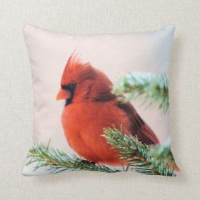 Cardinal in Snow Dusted Fir Pillows