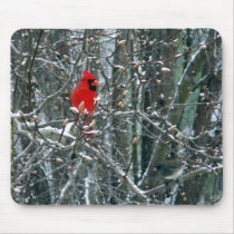 Cardinal in Snow mousepads by Trebor43 Cardinal in Snow mousepads