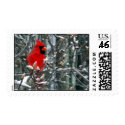 Cardinal in Snow postage by Trebor43 Cardinal in Snow postage