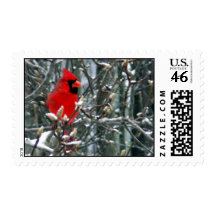 Cardinal in Snow Postage