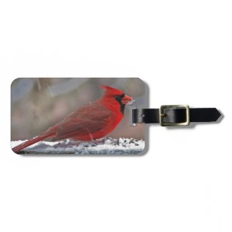 Cardinal in Snow Tags For Bags