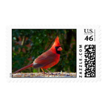 Cardinal in Sunlight stamps