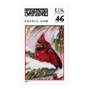 Cardinal in the cold postage