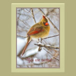 Cardinal in the snow - invitation invitations