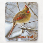 Cardinal in the snow - mousepad mousepads