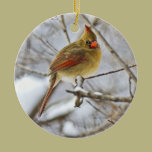 Cardinal in the snow - ornament ornaments