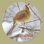 Cardinal in the snow - sticker stickers