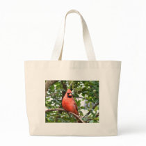 Cardinal in Tree bags