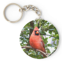 Cardinal in Tree keychains