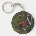Cardinal in tree keychains