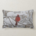Cardinal in winter snow pillow pillows