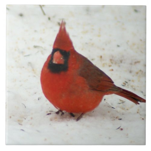 Cardinal in Winter tile