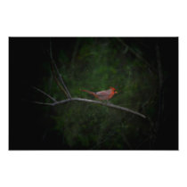 Cardinal in Winter Wall Decor Print Photo