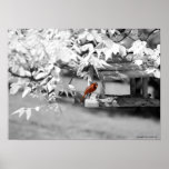 Cardinal Infrared posters